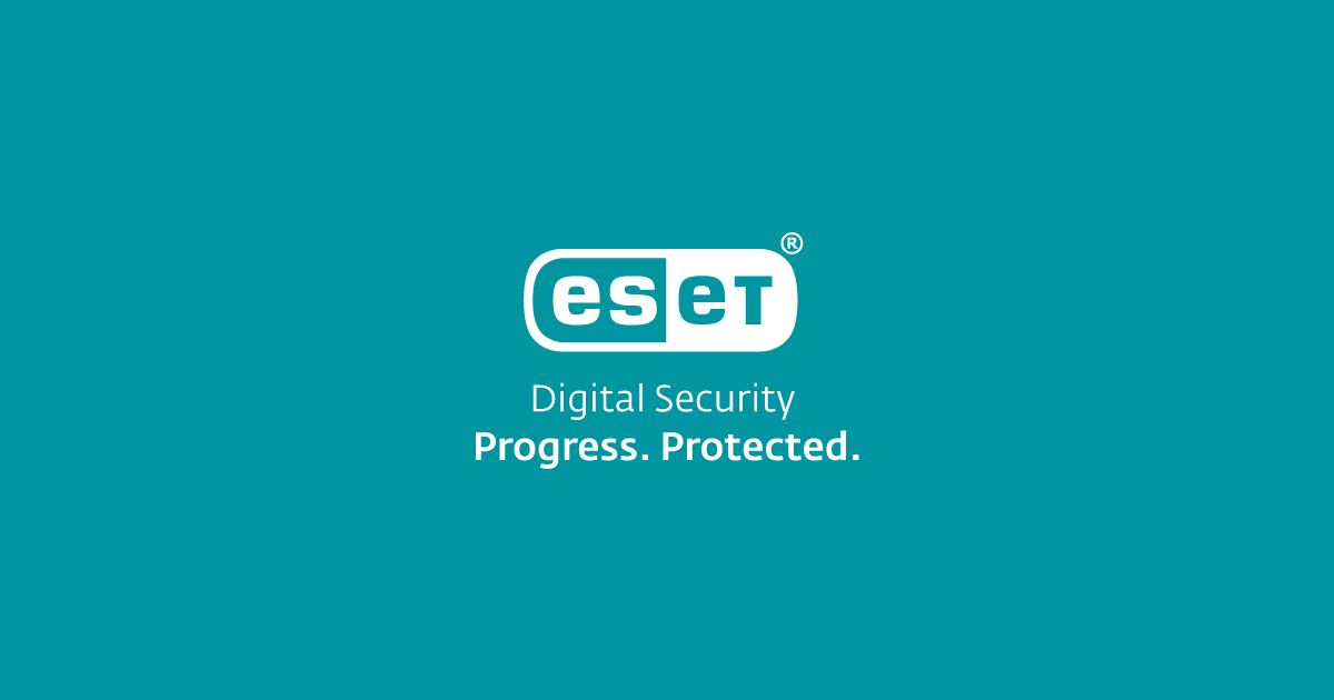 All You Should Know About Cybersecurity